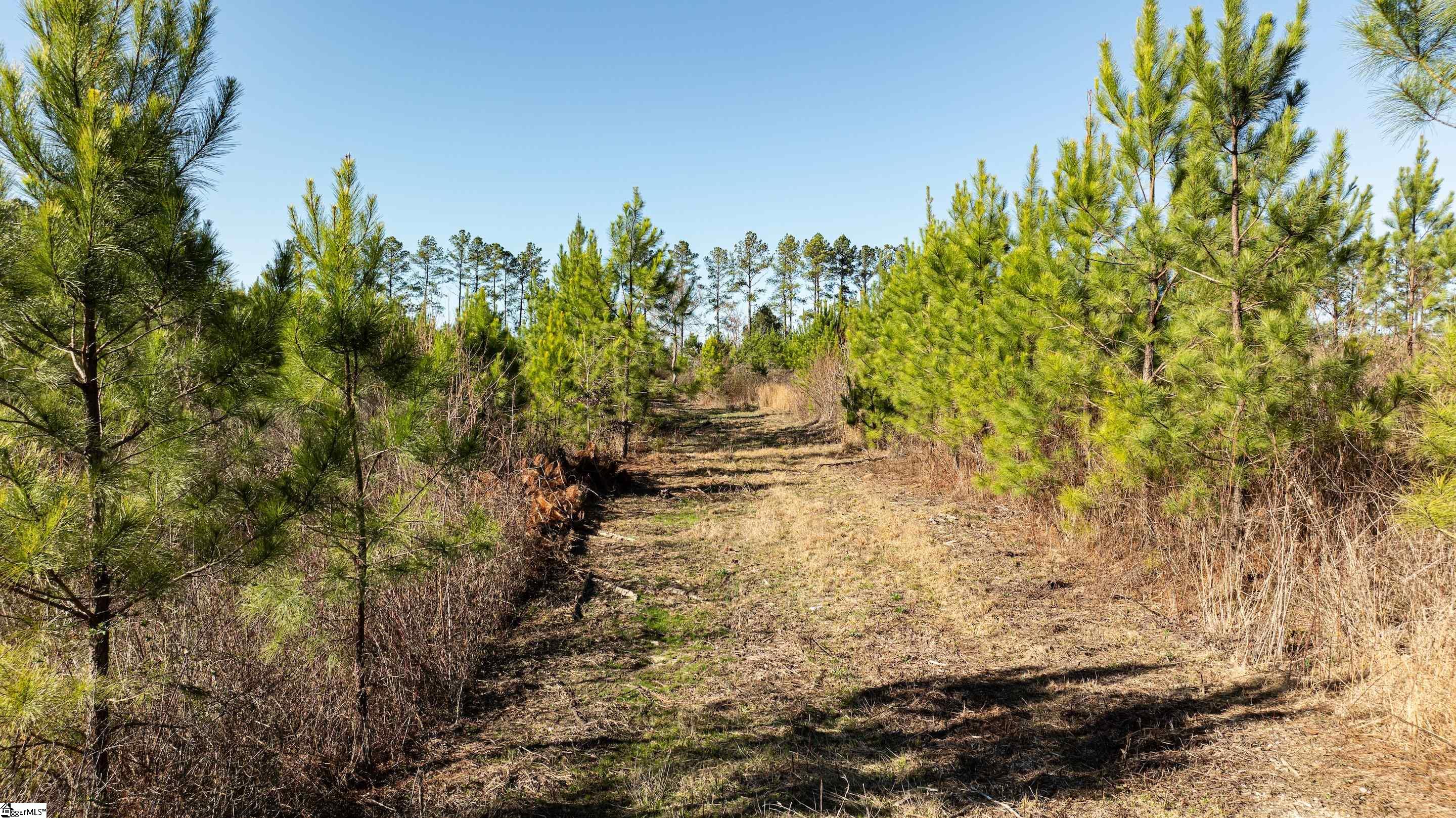 0 Lake Road Clinton, SC 29325 - Photo 8 of 14