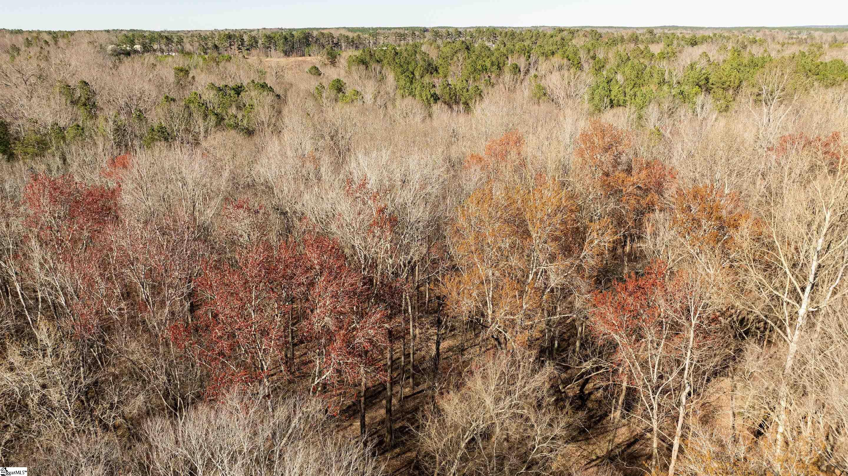 0 Lake Road Clinton, SC 29325 - Photo 9 of 14