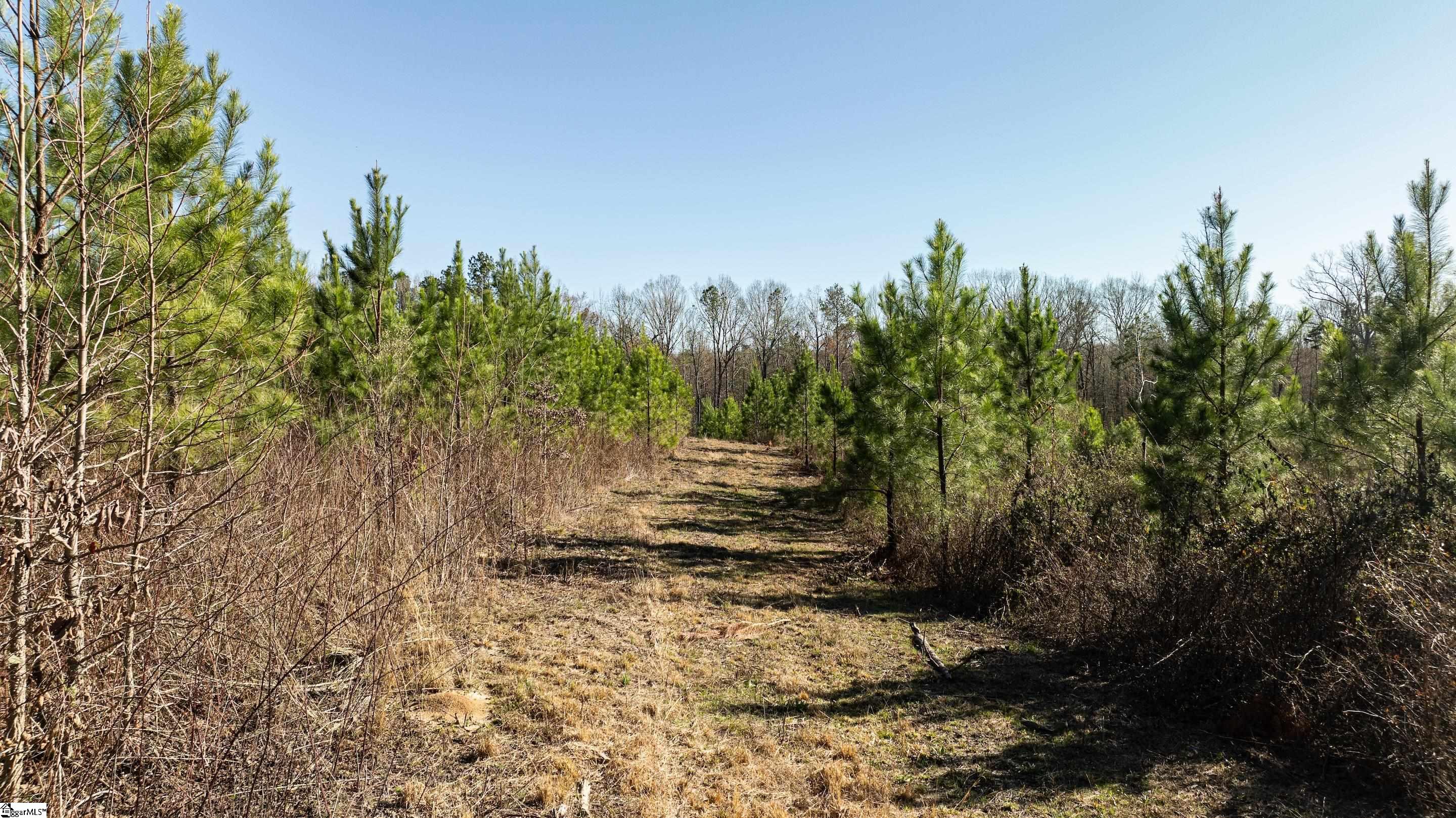 0 Lake Road Clinton, SC 29325 - Photo 10 of 14