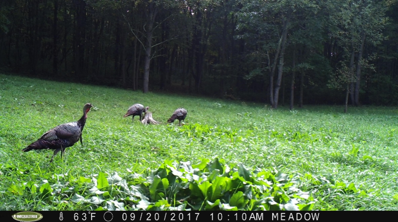 1 Day Road Three Rivers, MI 49093 - Photo 15 of 15