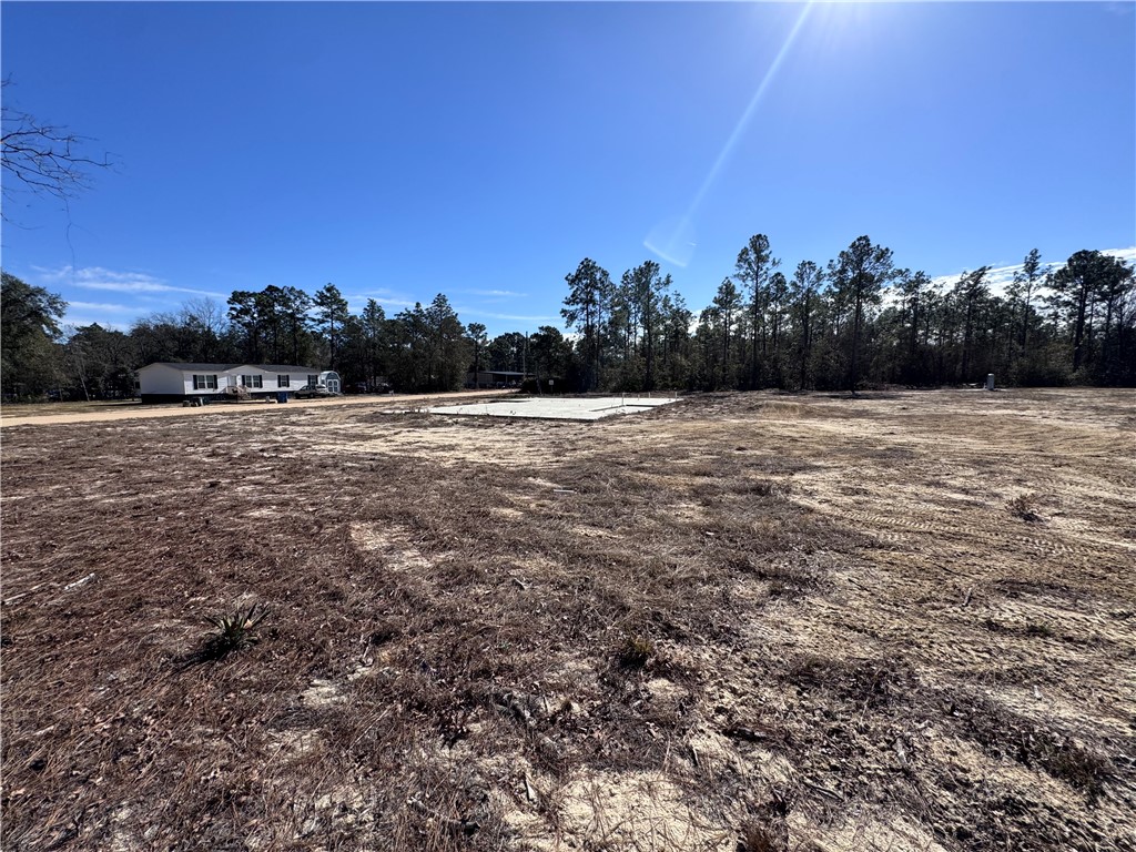 347 Jekyll Island Road Jesup, GA 31545 - Photo 6 of 8