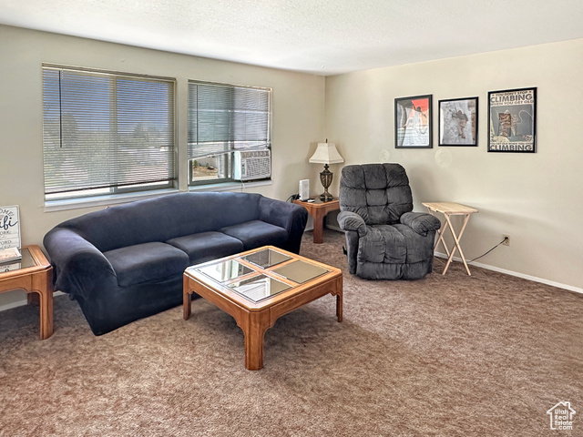 245 North 300 West Castle Dale, UT 84513 - Photo 14 of 37