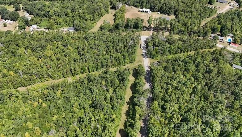 0 Blue Branch Road, Unit TRACT C Gaffney, SC 29340 - Photo 11 of 13 a view of a lush green forest with lots of trees