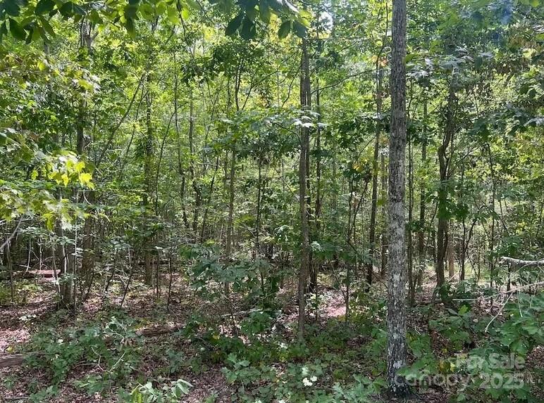 0 Blue Branch Road, Unit TRACT C Gaffney, SC 29340 - Photo 7 of 13