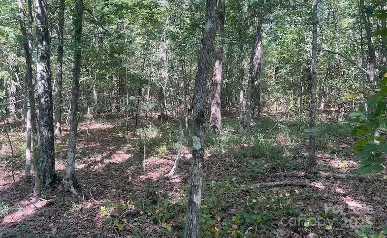 0 Blue Branch Road, Unit TRACT C Gaffney, SC 29340 - Photo 8 of 13 a backyard of a house with lots of trees
