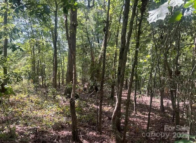 0 Blue Branch Road, Unit TRACT C Gaffney, SC 29340 - Photo 10 of 13
