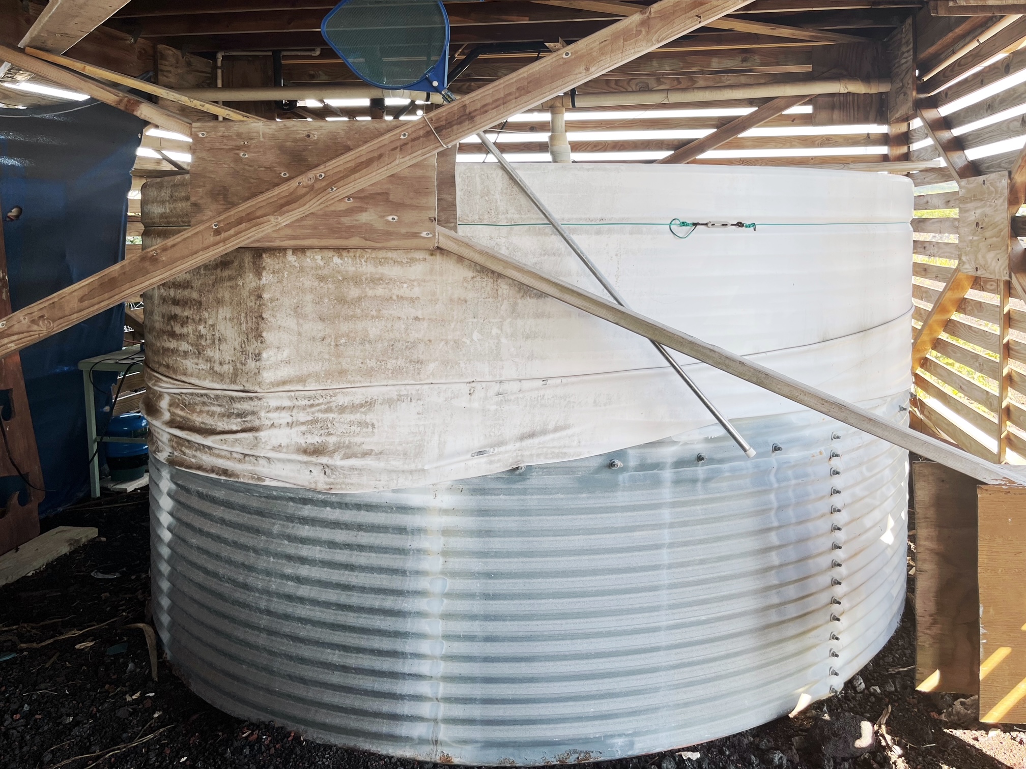 12-5328 Ohana Road Pahoa, HI 96778 - Photo 11 of 15