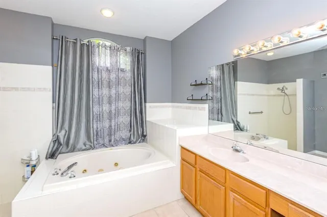 a bathroom with a tub a double vanity sink and mirror