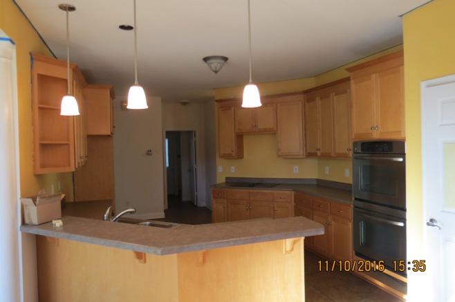7979 Little Britton Road Hollywood, SC 29449 - Photo 33 of 40 little brit fly cat 095