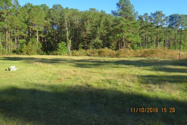 7979 Little Britton Road Hollywood, SC 29449 - Photo 5 of 40 little brit fly cat 046