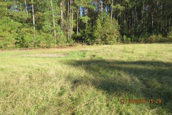 7979 Little Britton Road Hollywood, SC 29449 - Photo 10 of 40 little brit fly cat 051
