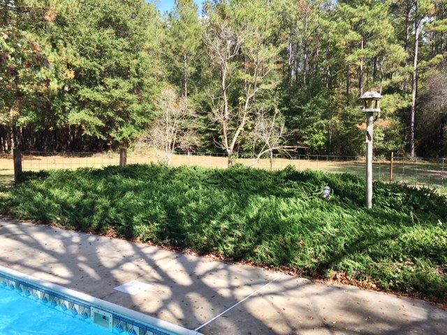 137 Goodson Road Quincy, FL 32351 - Photo 16 of 19 Gallery Image 16