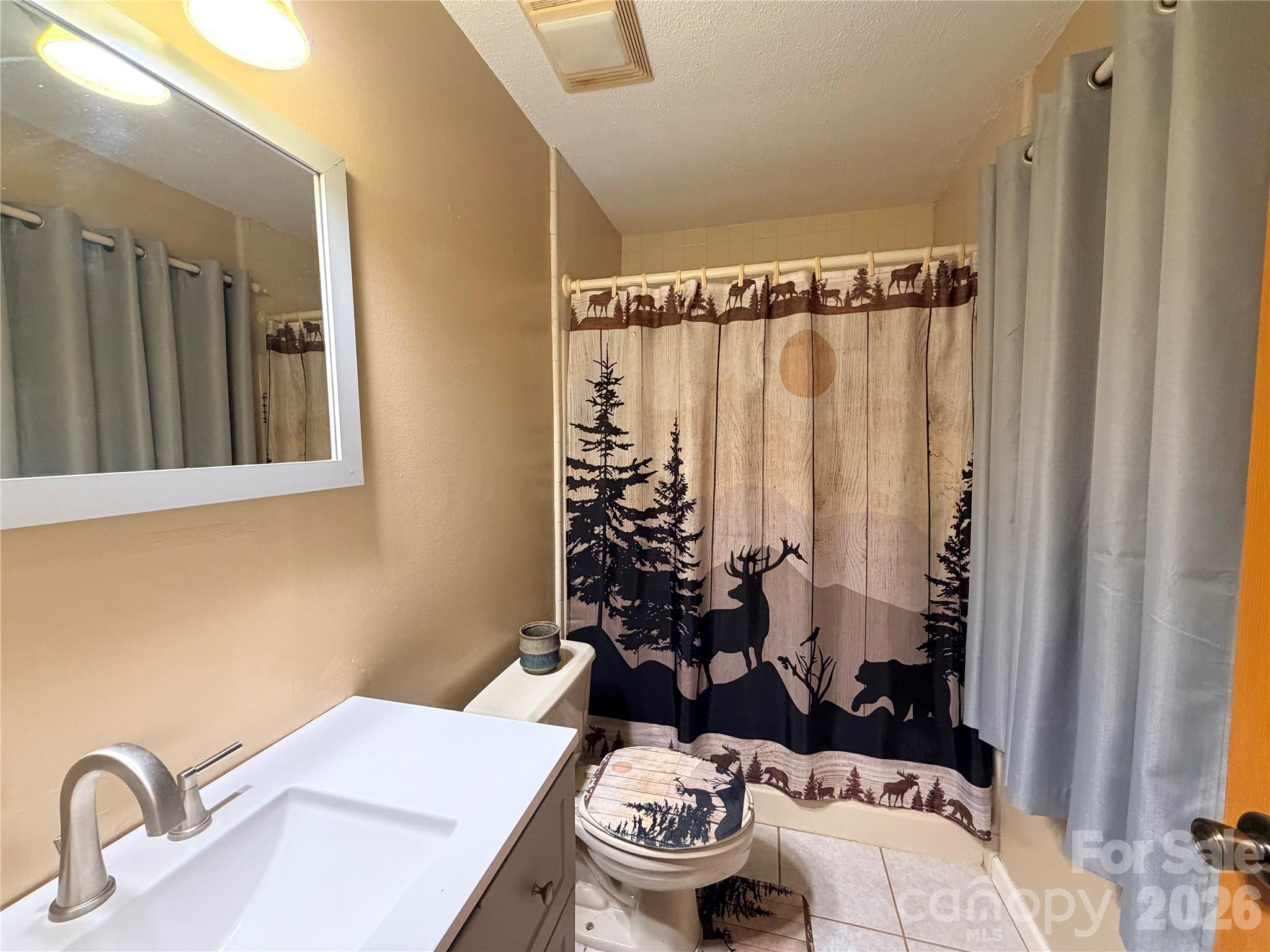 2778 Mule Stomp Road Hot Springs, NC 28743 - Photo 15 of 48