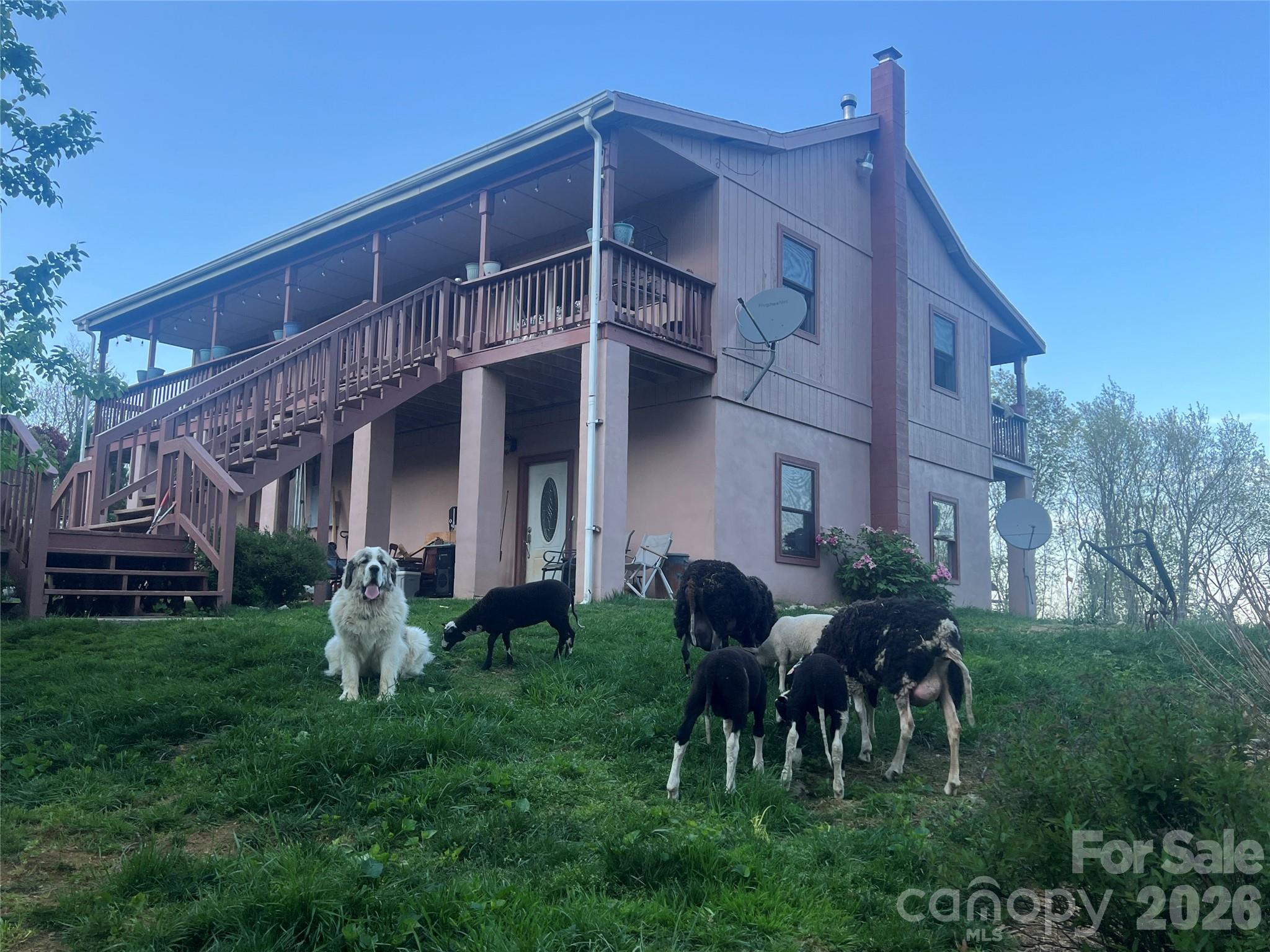 2778 Mule Stomp Road Hot Springs, NC 28743 - Photo 2 of 48