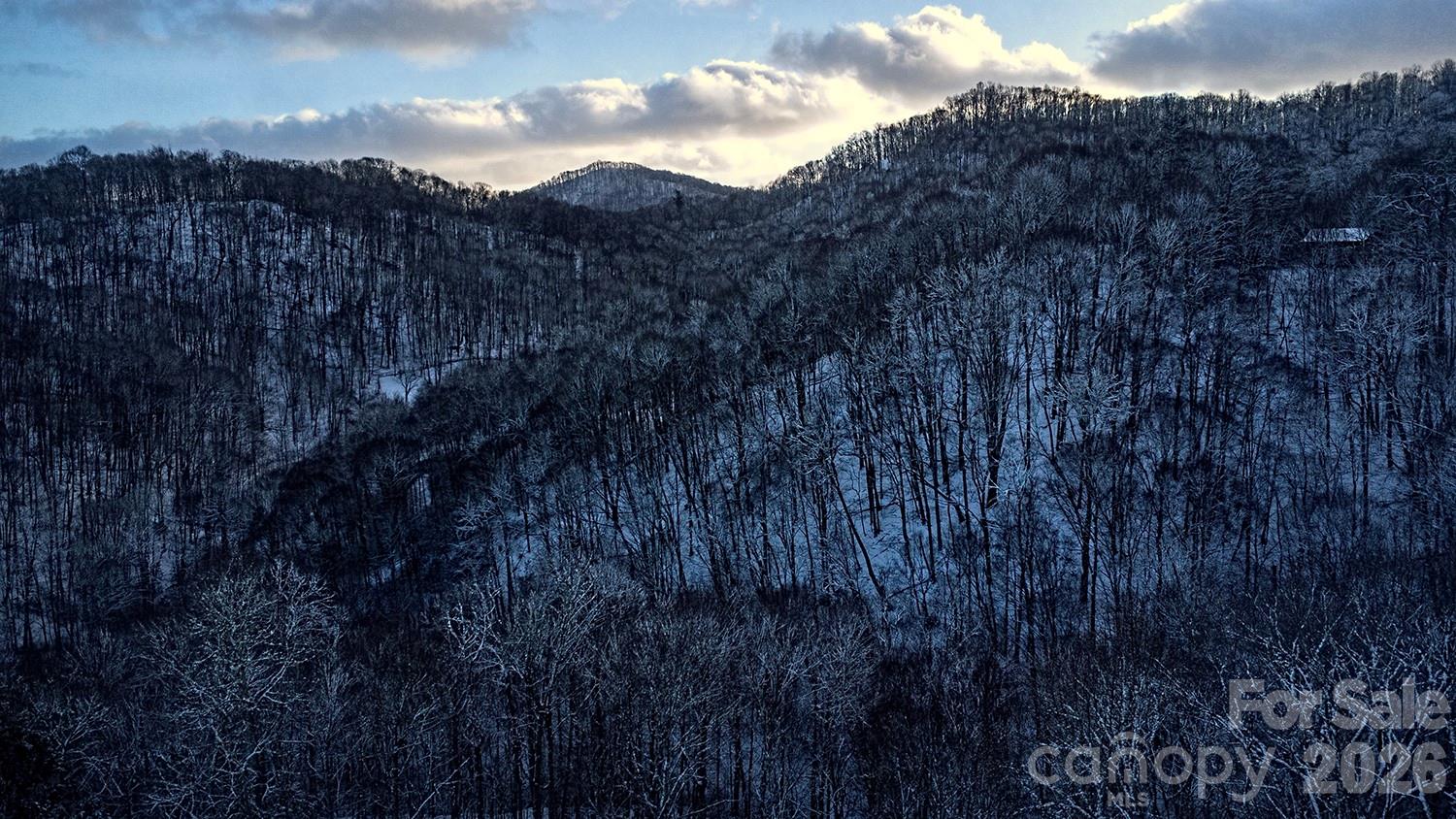 2778 Mule Stomp Road Hot Springs, NC 28743 - Photo 21 of 48