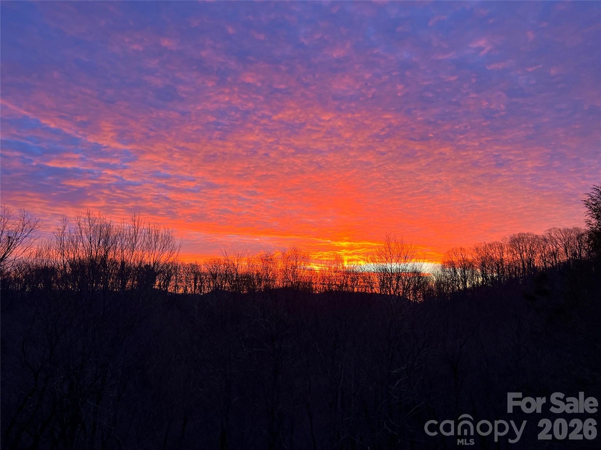 2778 Mule Stomp Road Hot Springs, NC 28743 - Photo 23 of 48