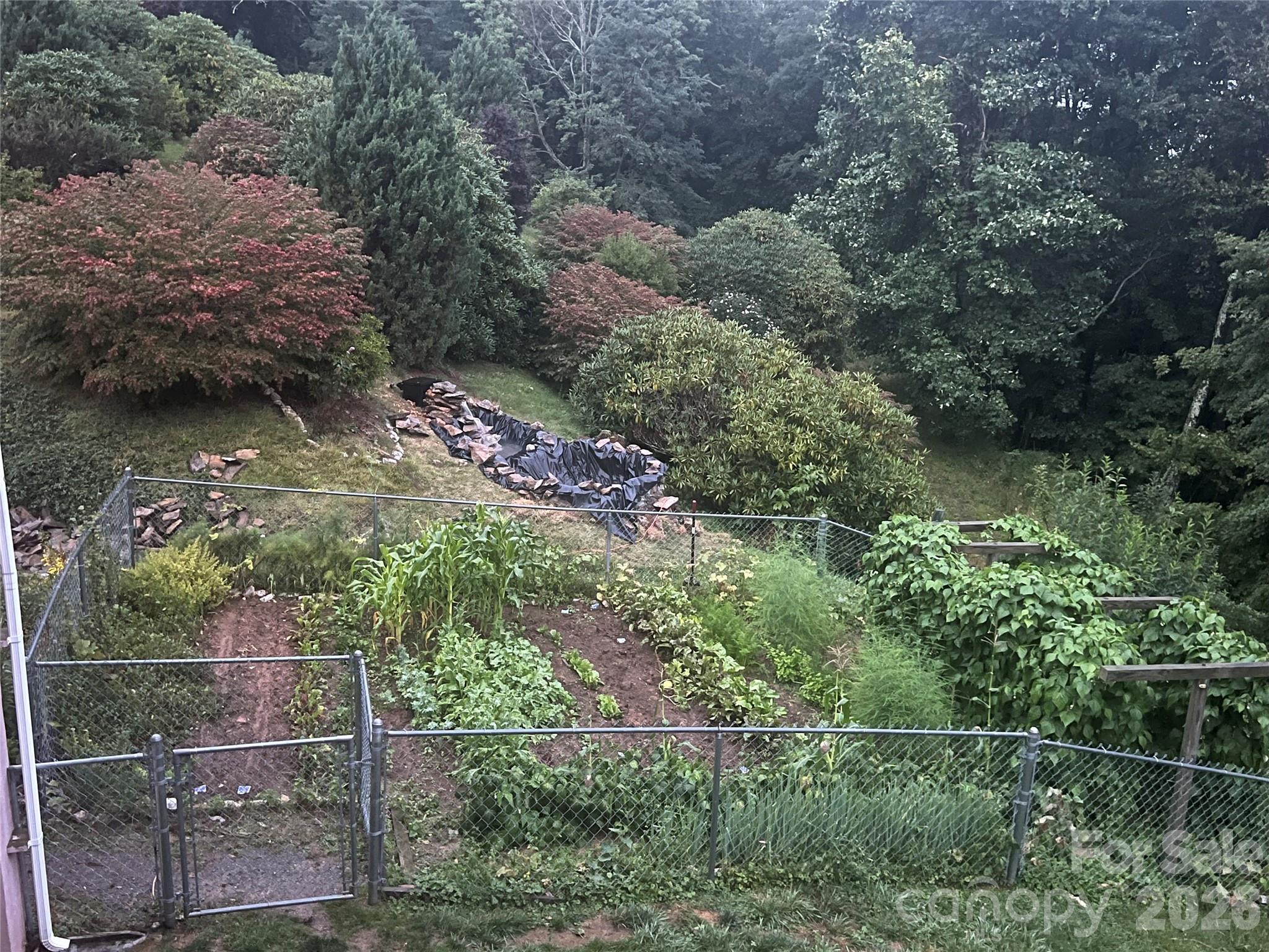 2778 Mule Stomp Road Hot Springs, NC 28743 - Photo 24 of 48