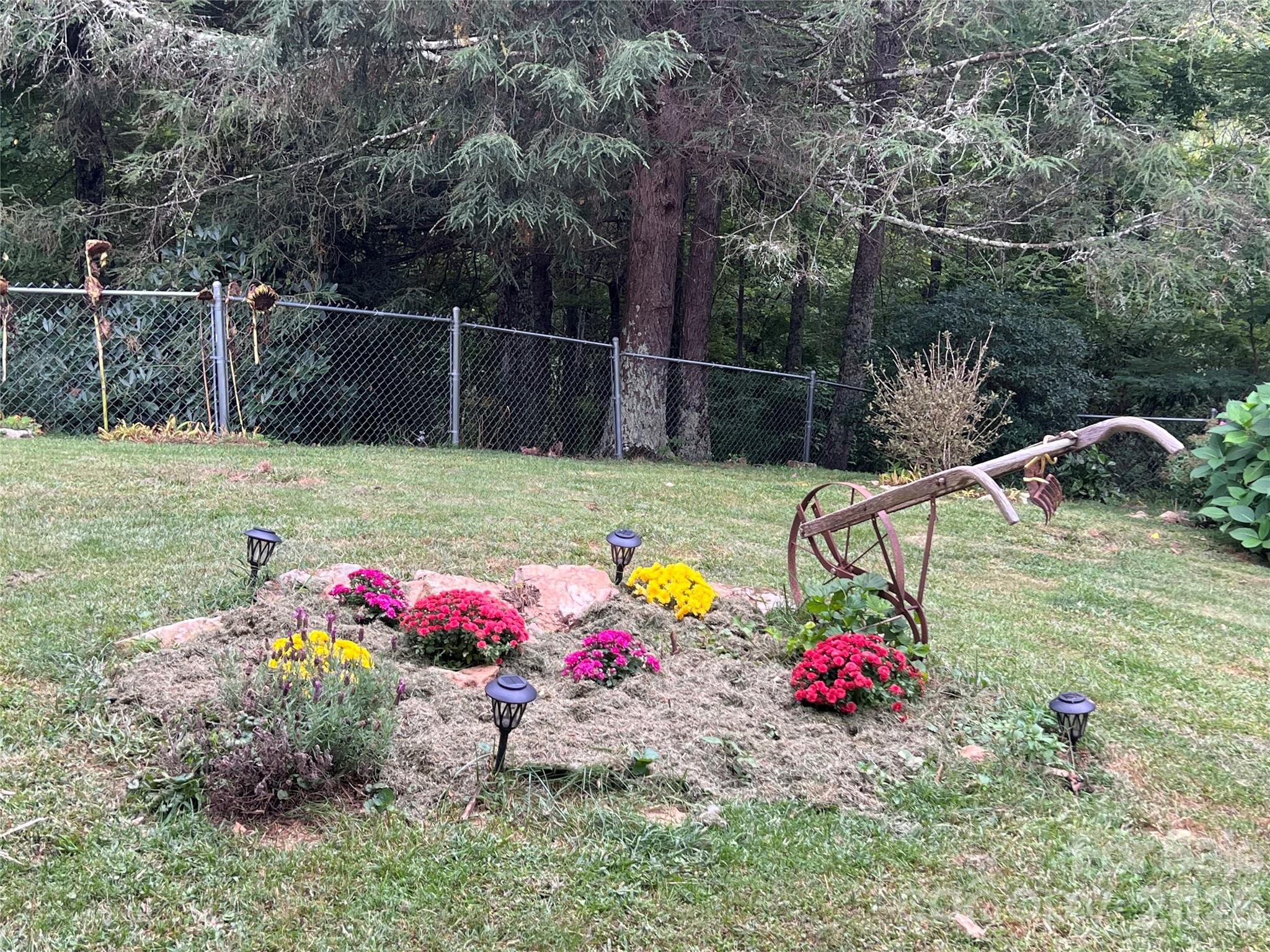 2778 Mule Stomp Road Hot Springs, NC 28743 - Photo 25 of 48