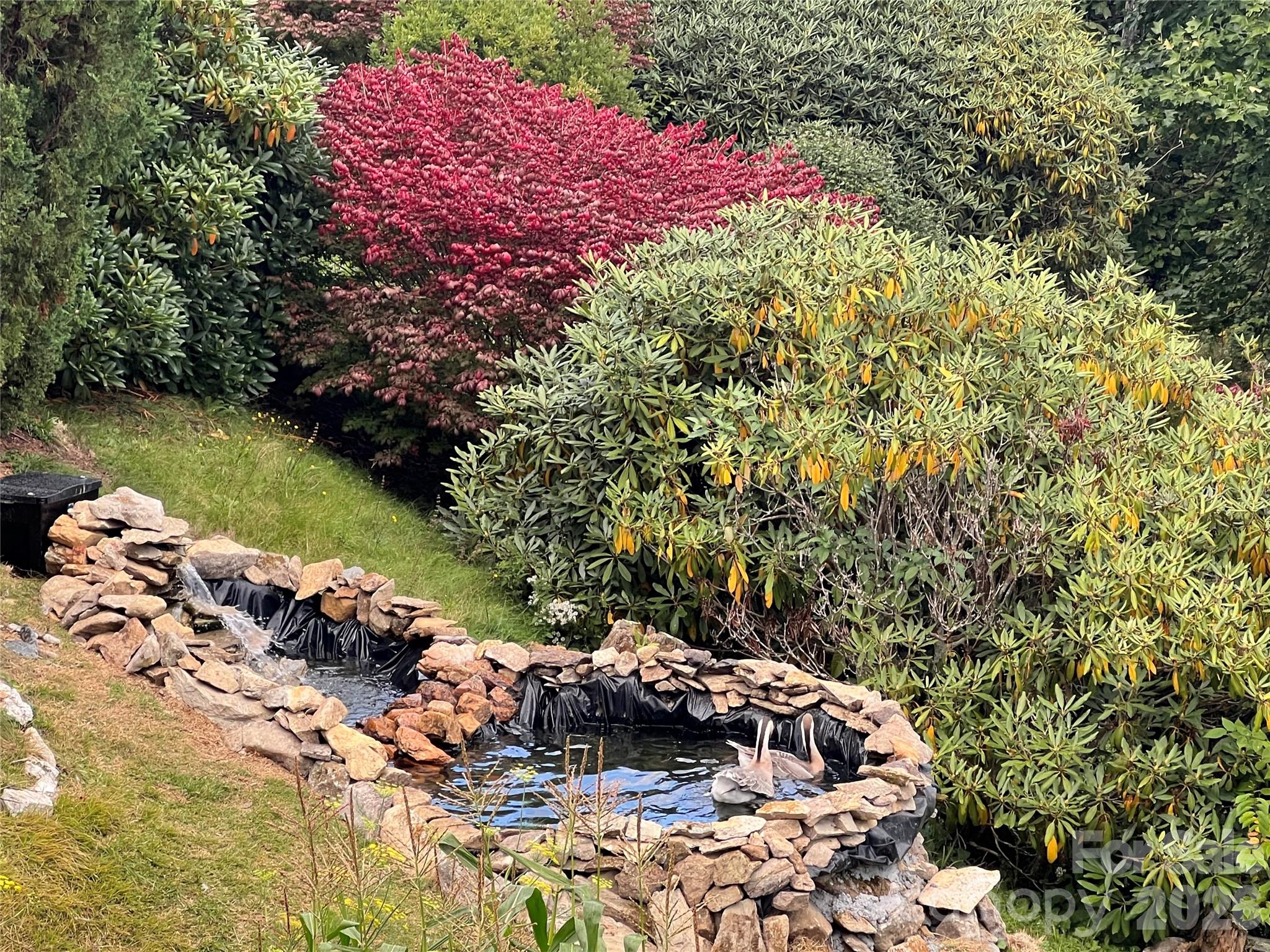 2778 Mule Stomp Road Hot Springs, NC 28743 - Photo 26 of 48