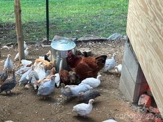 2778 Mule Stomp Road Hot Springs, NC 28743 - Photo 30 of 48