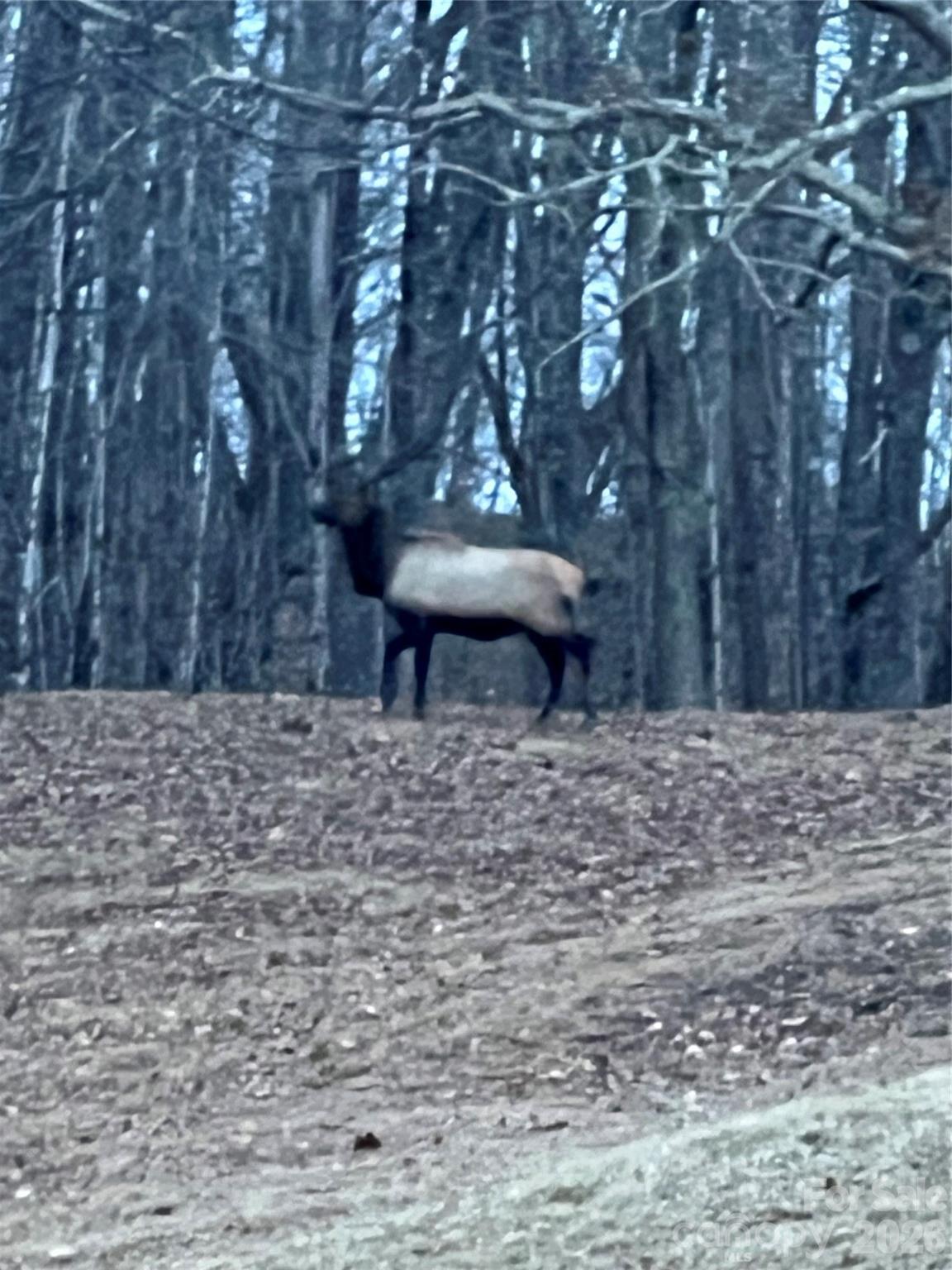2778 Mule Stomp Road Hot Springs, NC 28743 - Photo 35 of 48