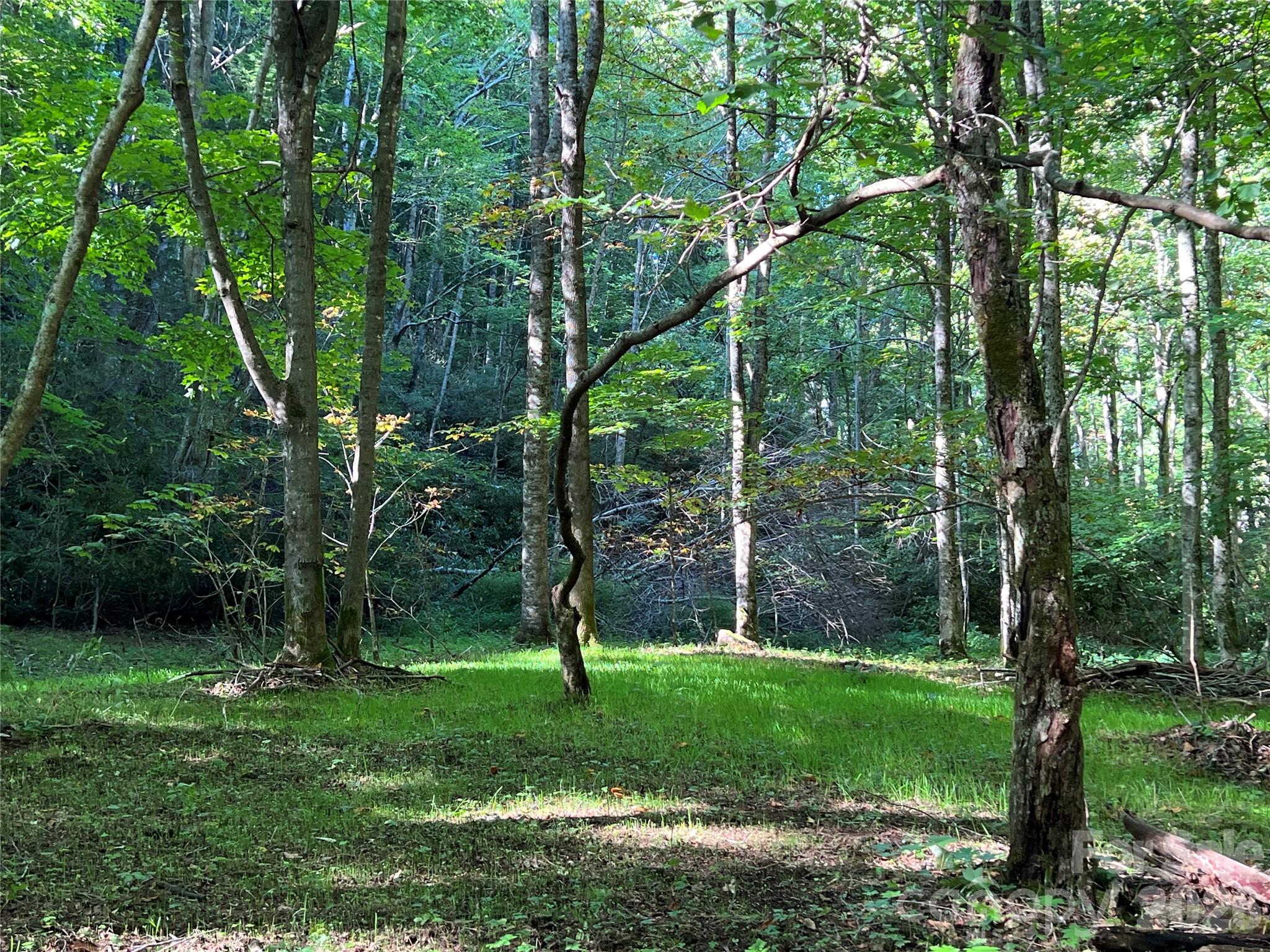 2778 Mule Stomp Road Hot Springs, NC 28743 - Photo 4 of 48