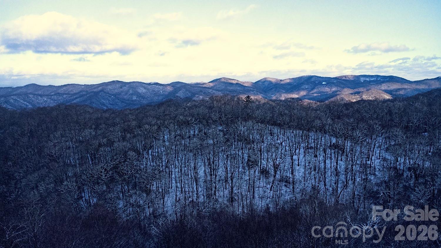 2778 Mule Stomp Road Hot Springs, NC 28743 - Photo 44 of 48