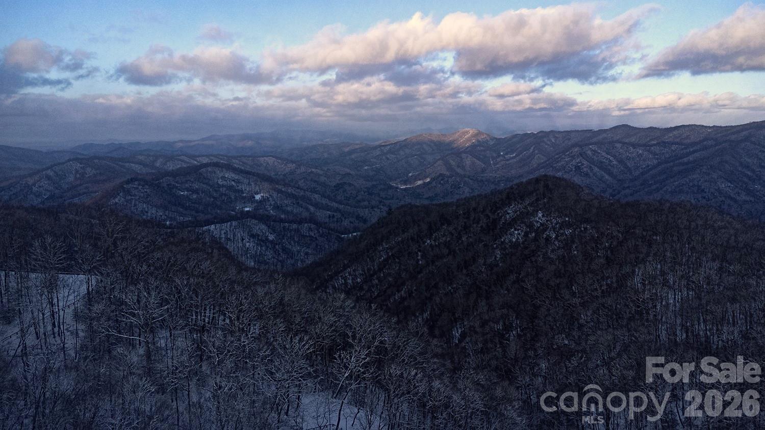 2778 Mule Stomp Road Hot Springs, NC 28743 - Photo 45 of 48