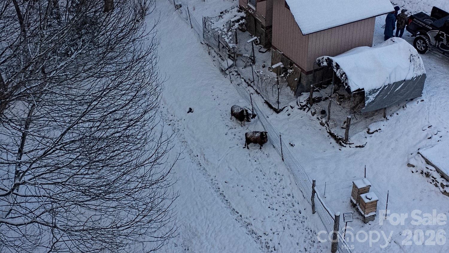 2778 Mule Stomp Road Hot Springs, NC 28743 - Photo 46 of 48