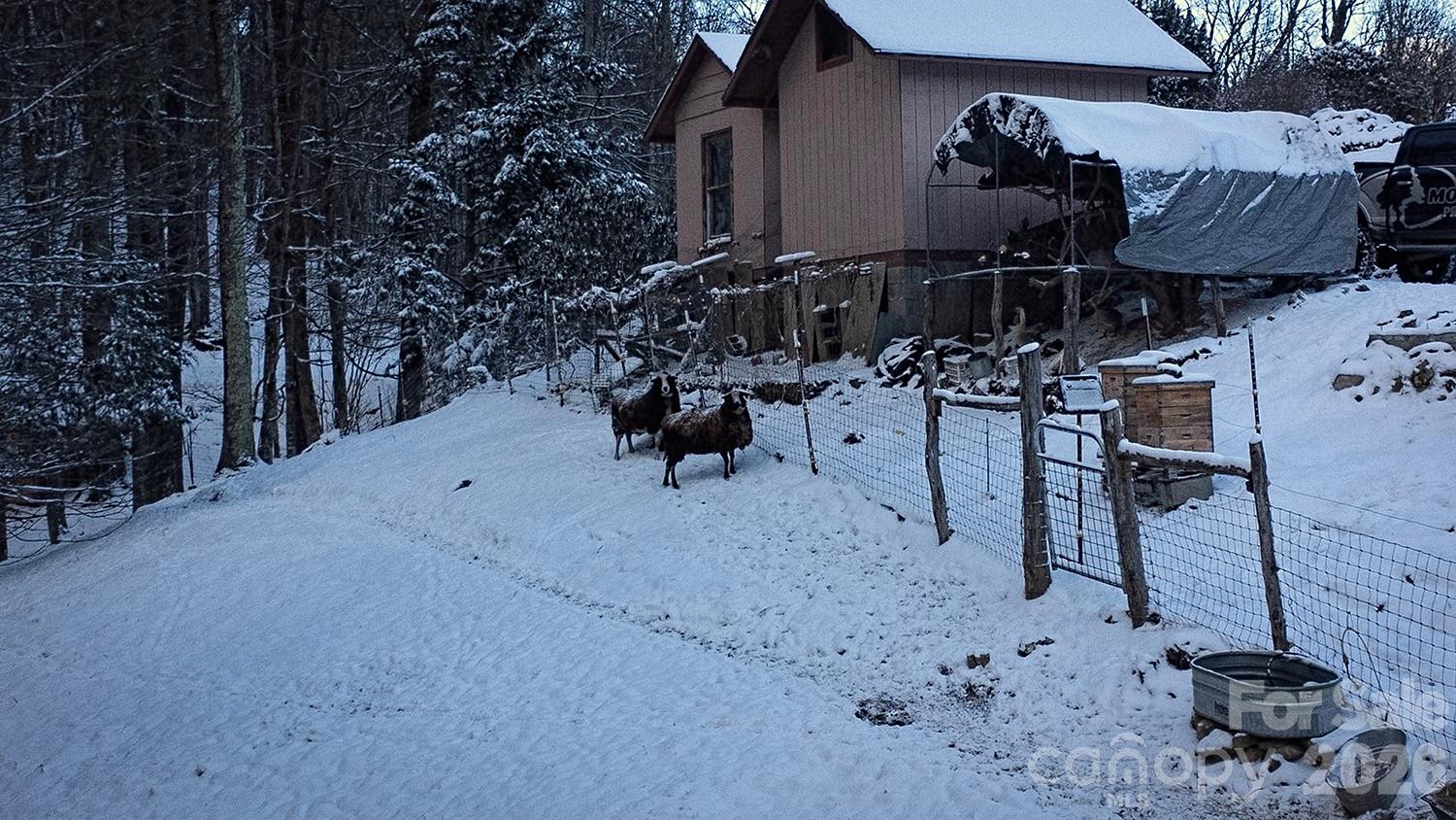 2778 Mule Stomp Road Hot Springs, NC 28743 - Photo 47 of 48