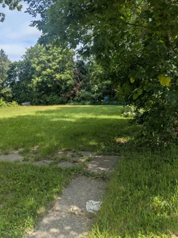 a view of grassy field with trees
