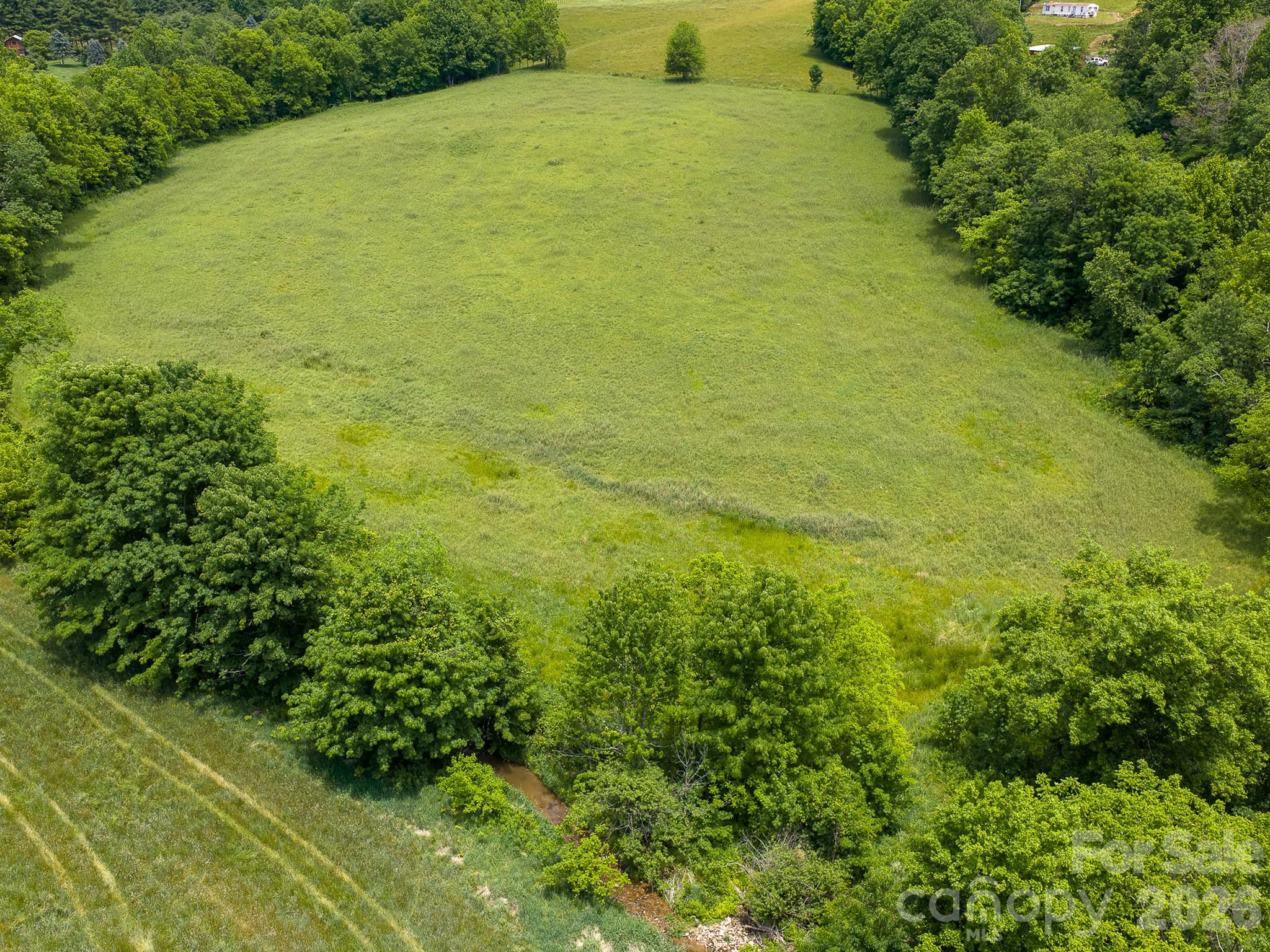 0 Sallys Branch Road Clyde, NC 28721 - Photo 6 of 22
