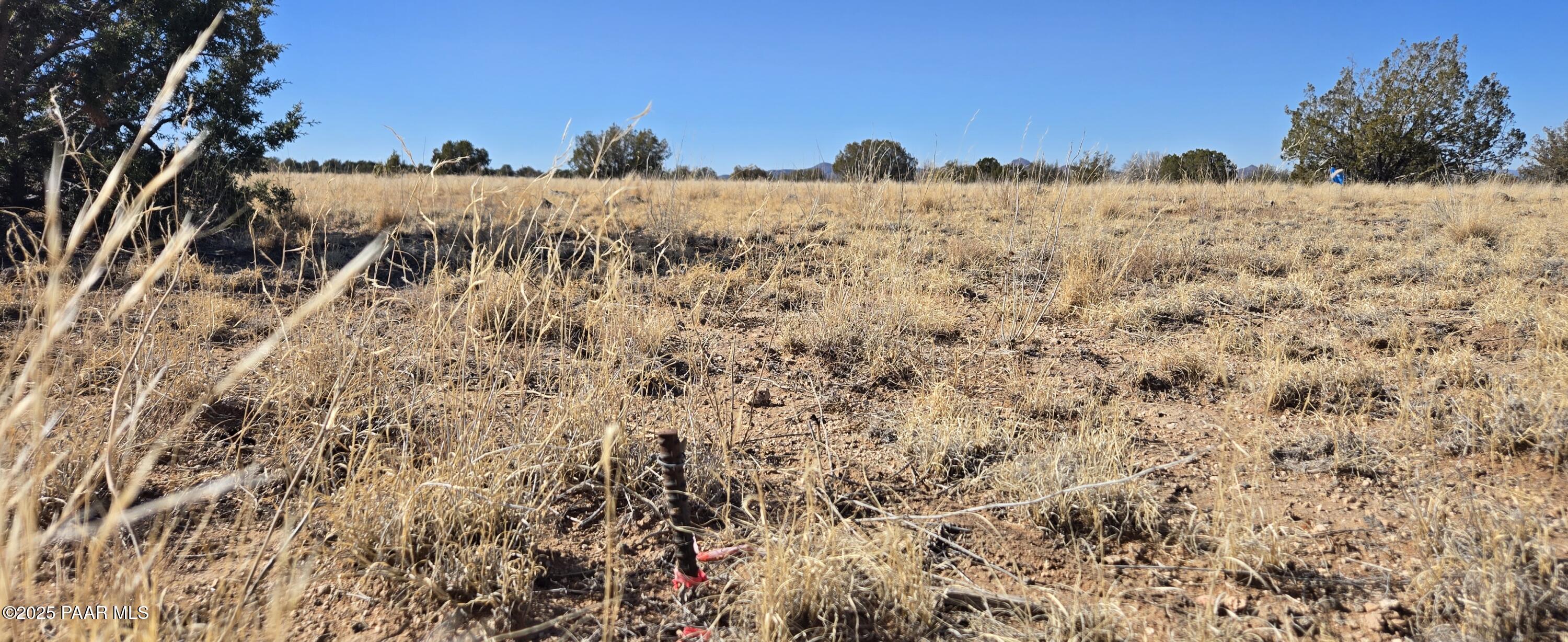 95 J North Headwaters Road Paulden, AZ 86334 - Photo 3 of 37 a view of outdoor space and covered with snow
