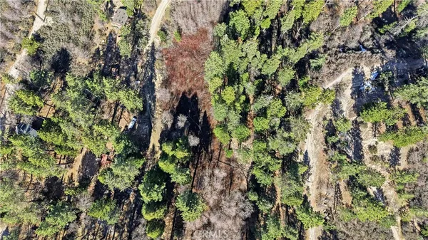 a backyard of a house with lots of trees