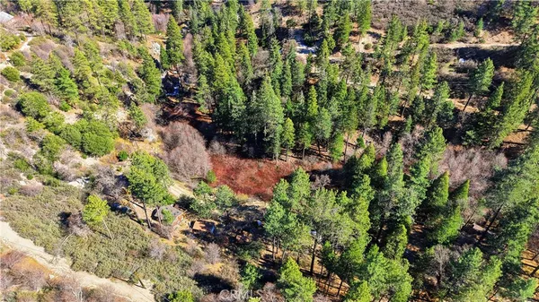 a view of a garden with plants