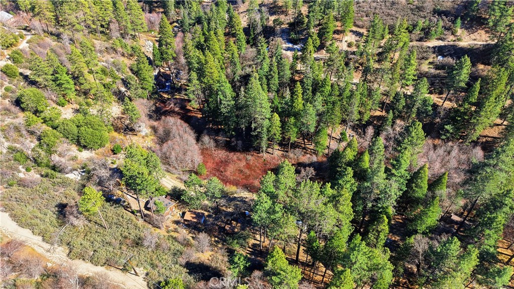 0 Little Bear Creek Road Cedar Glen, CA 92321 - Photo 5 of 11 a view of a garden with plants