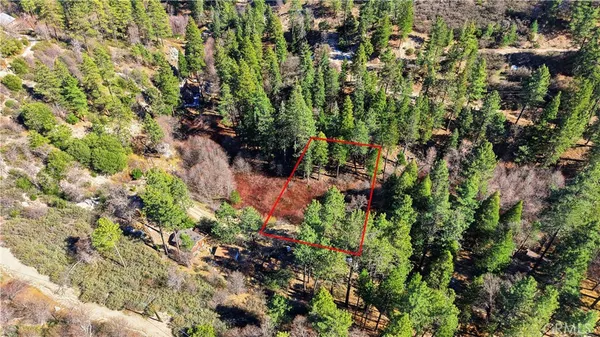 a view of a garden with plants