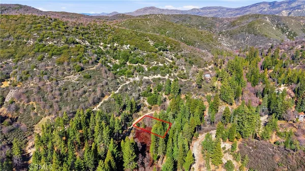 a view of a lush green forest with trees in the background