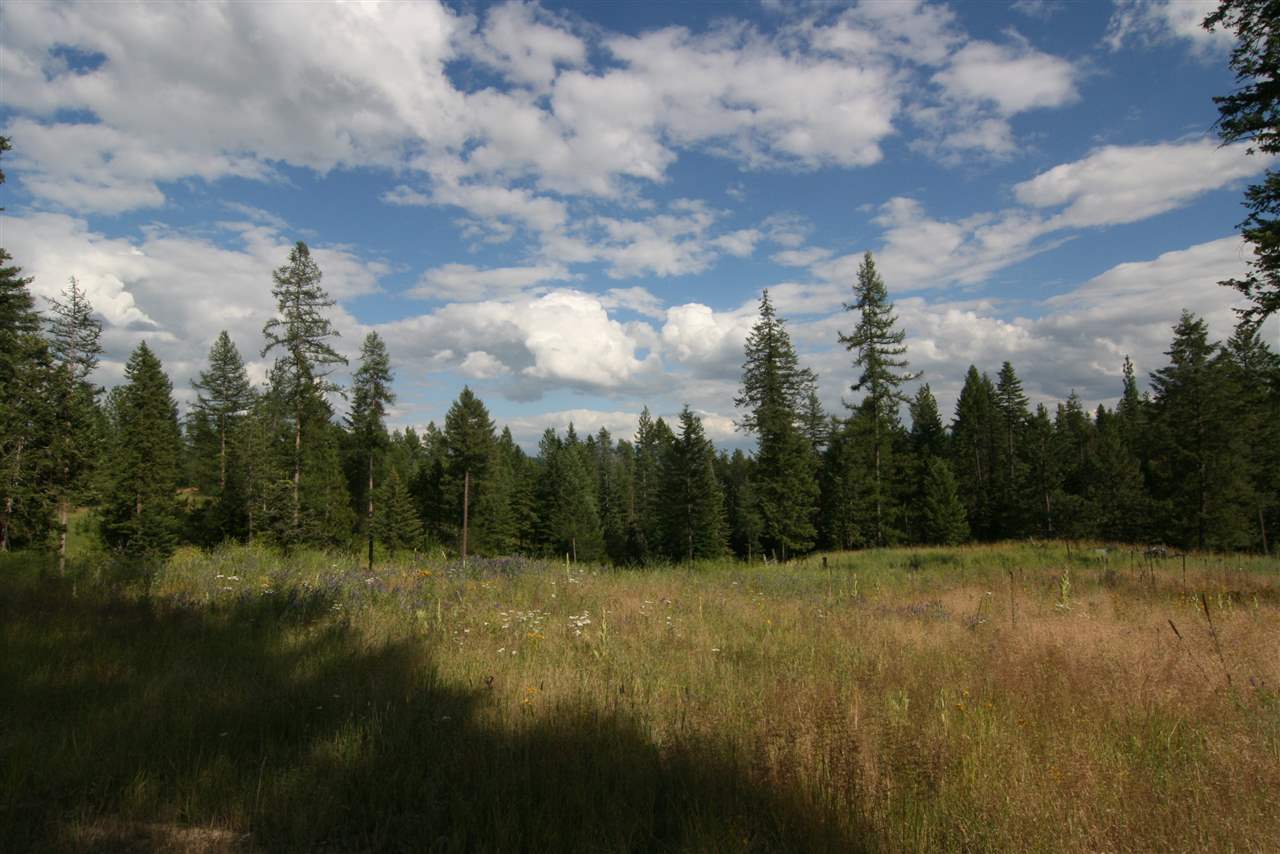 4401 East Deer Lake Road Loon Lake, WA 99148 - Photo 1 of 10 Gallery Image 1