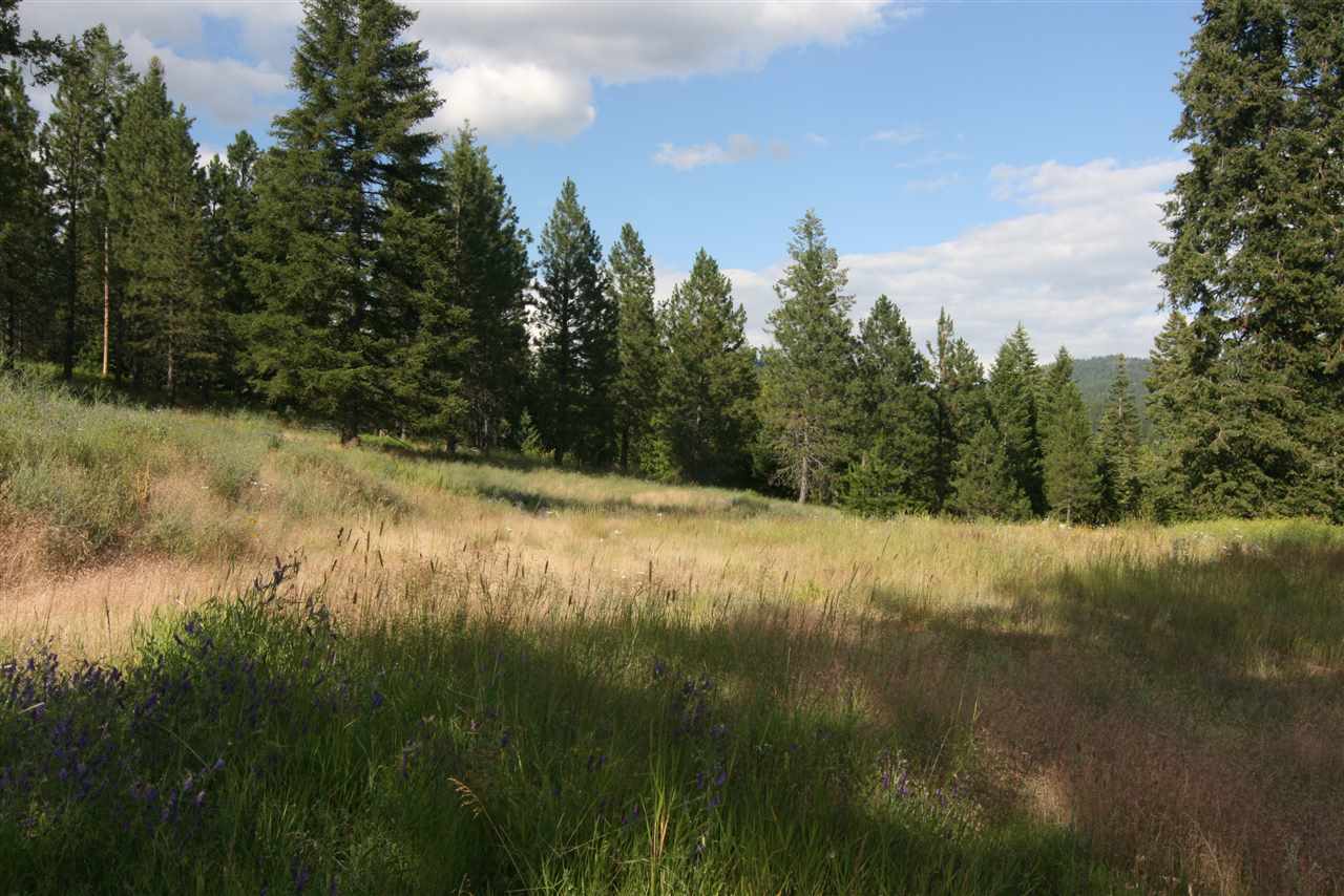 4401 East Deer Lake Road Loon Lake, WA 99148 - Photo 2 of 10 Gallery Image 2