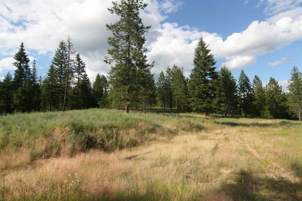 4401 East Deer Lake Road Loon Lake, WA 99148 - Photo 3 of 10 Gallery Image 3