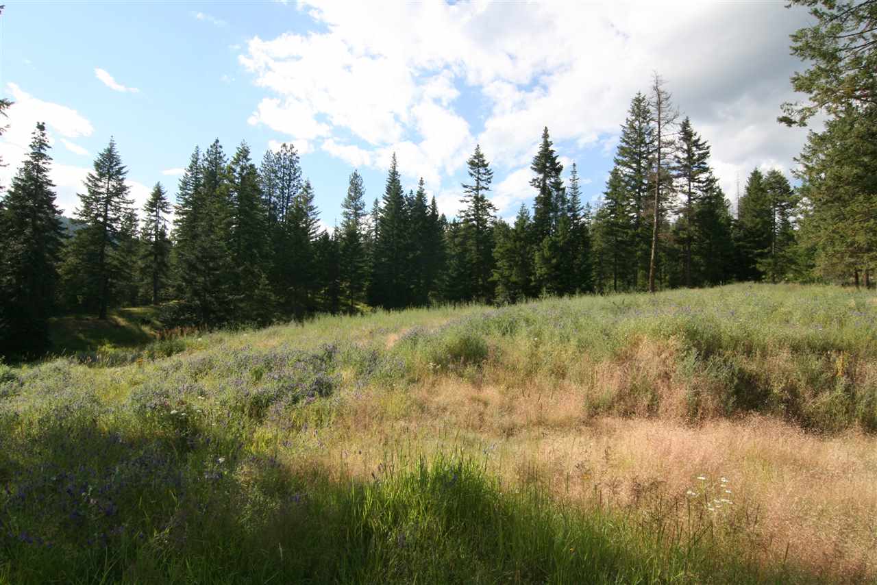 4401 East Deer Lake Road Loon Lake, WA 99148 - Photo 4 of 10 Gallery Image 4