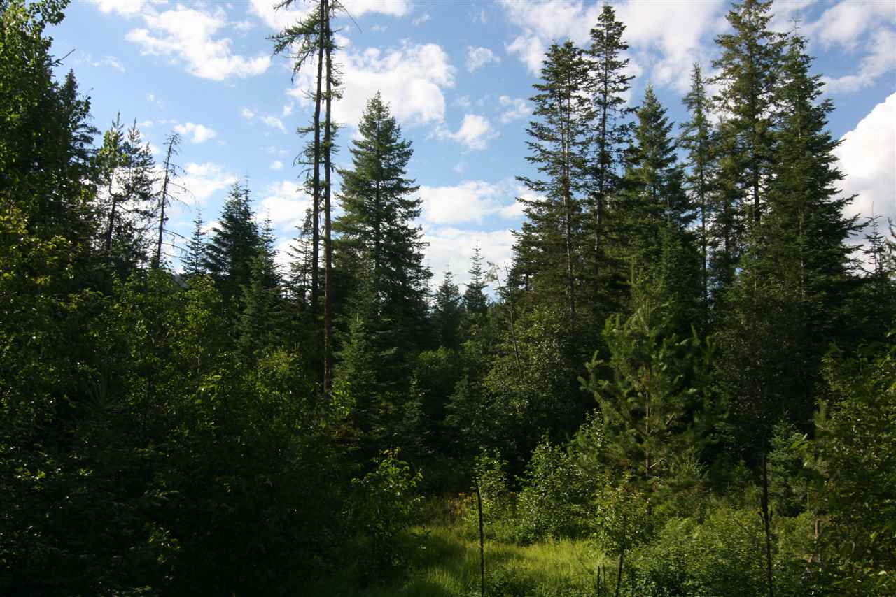 4401 East Deer Lake Road Loon Lake, WA 99148 - Photo 6 of 10 Gallery Image 6