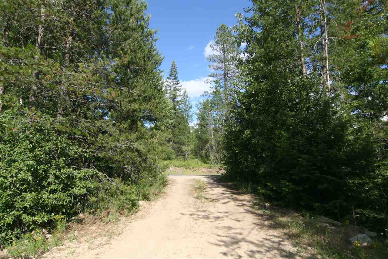 4401 East Deer Lake Road Loon Lake, WA 99148 - Photo 7 of 10 Gallery Image 7