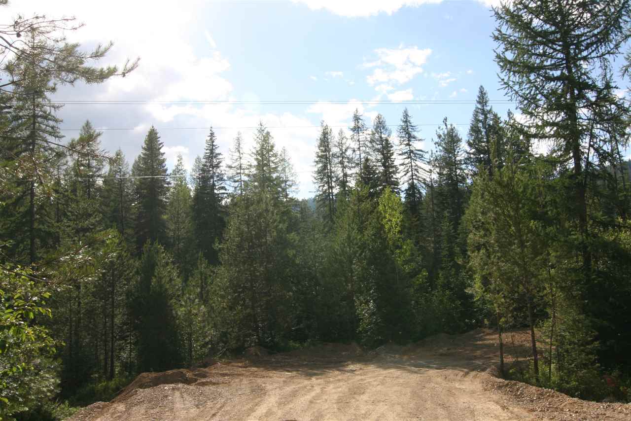 4401 East Deer Lake Road Loon Lake, WA 99148 - Photo 8 of 10 Gallery Image 8