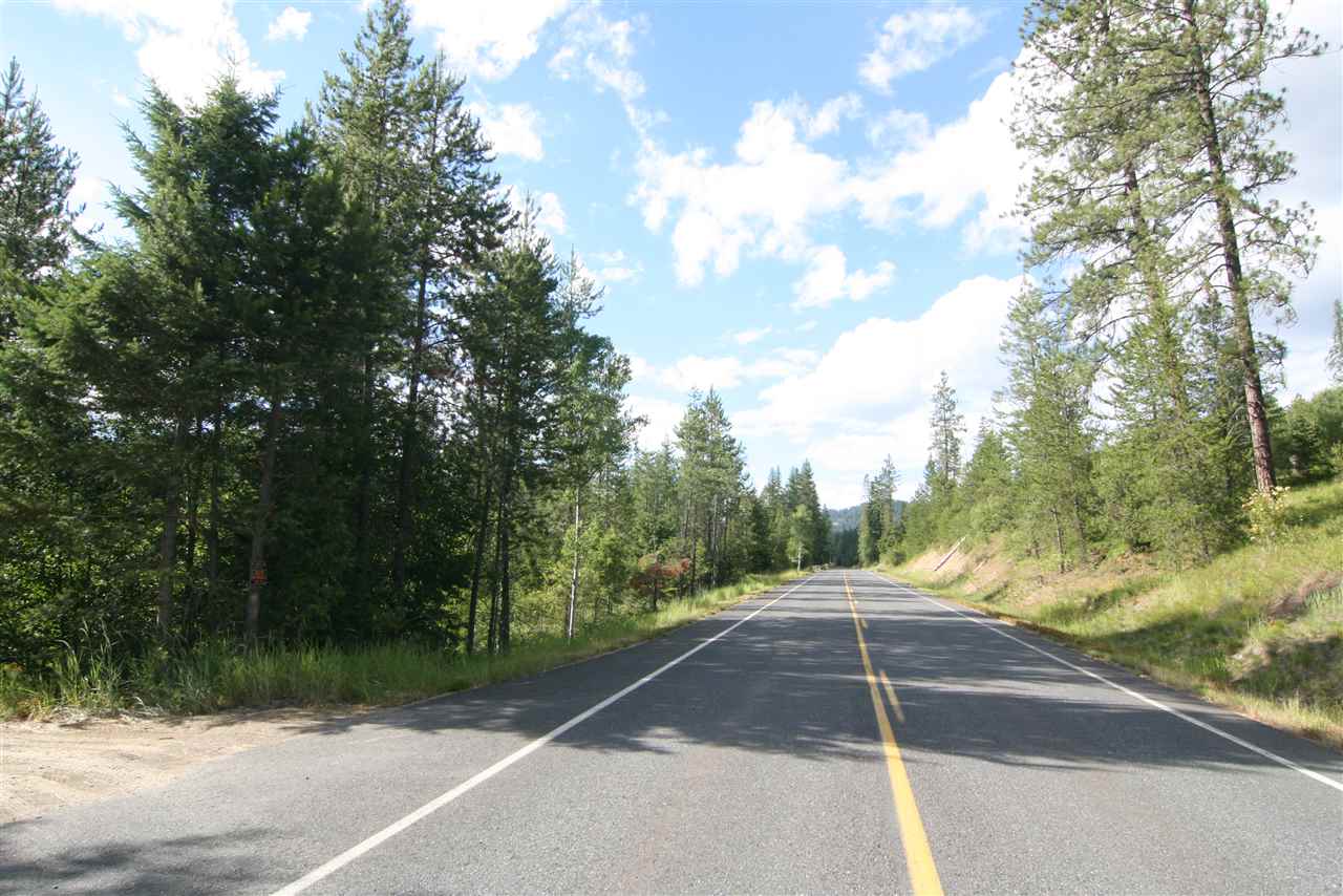 4401 East Deer Lake Road Loon Lake, WA 99148 - Photo 9 of 10 Gallery Image 9