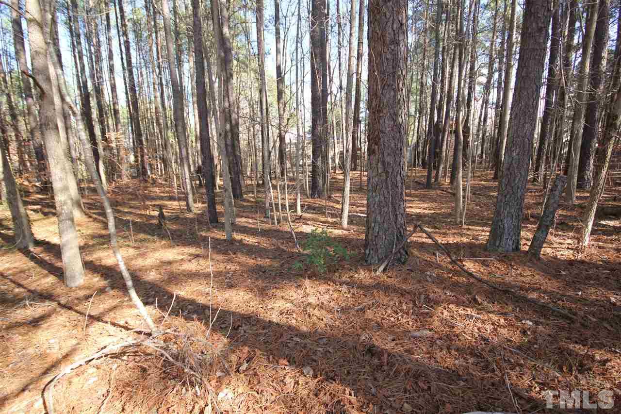 4121 Mountainbrook Road Apex, NC 27539 - Photo 24 of 25 View from back property line towards house!