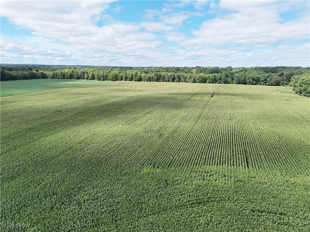 Fletcher Road Middlefield, OH 44062 - Photo 33 of 48 Drone / aerial view