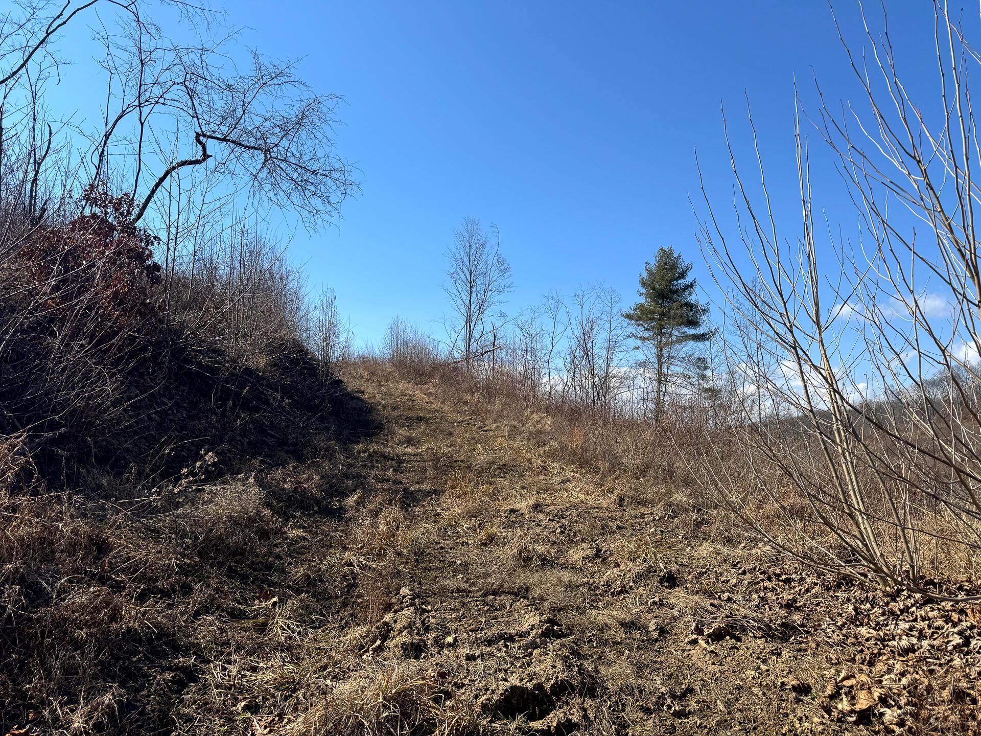 0 Sulphur Spring Road Southeast, Unit SULPHUR SPRINGS) Shawnee, OH 43782 - Photo 21 of 33 CT-21