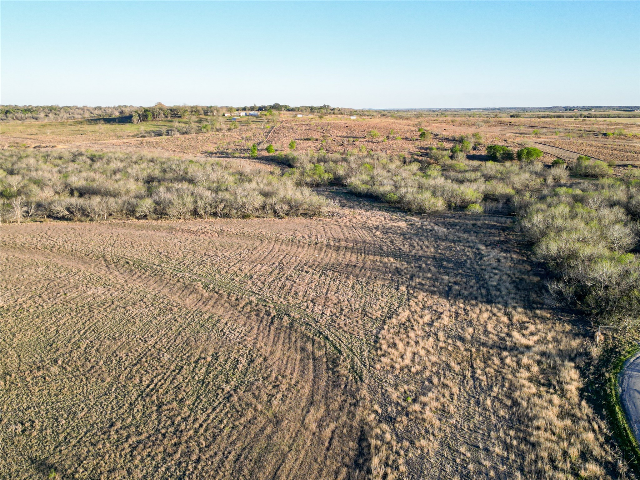 495 Black Ankle Road Lockhart, TX 78644 - Photo 1 of 7